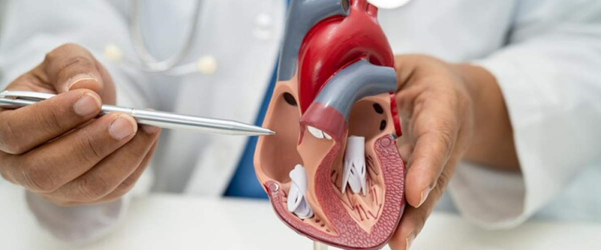 Heart Valve Replacement