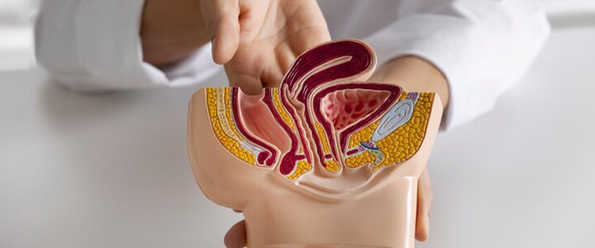 Penile reconstruction