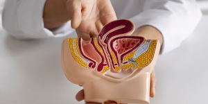 Penile reconstruction